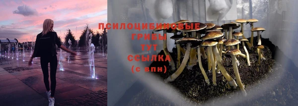 скорость Алзамай