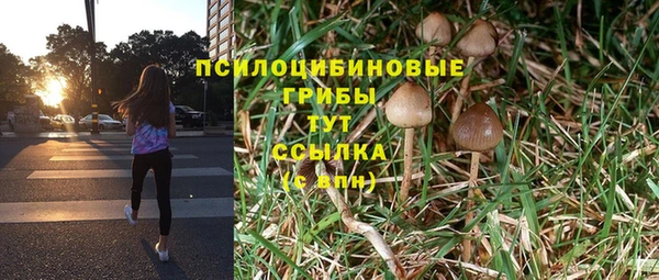 скорость Алзамай